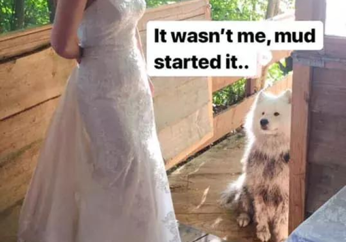 秒懂教程“微信怎么开斗牛房间链接”轻松获取房卡全渠道