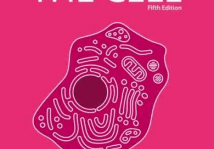 房卡全攻略“微信链接斗牛房卡怎么买”轻松获取房卡全渠道 房卡全攻略“微信链接斗牛房卡怎么买”轻松获取房卡全渠道