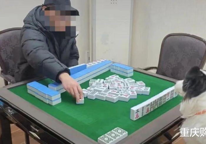 必学教你安装“四川转转麻将可以买挂吗”(曝光透视必备猫腻)