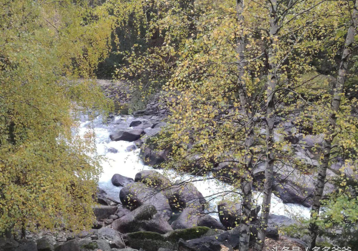 教 程 解 析 “ 黑 河 麻 将 有 什 么 猫 腻 吗 ” 附 开 挂 脚 本