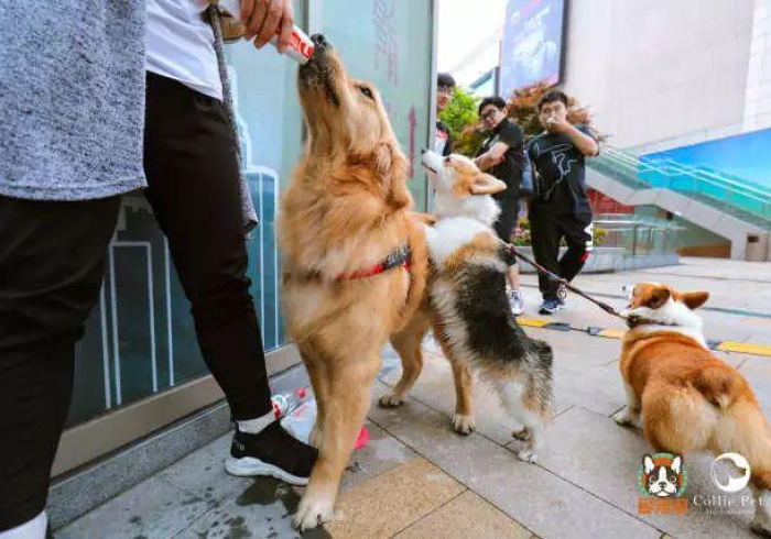 玩家测评“牛魔王牛牛房卡”房卡链接获取