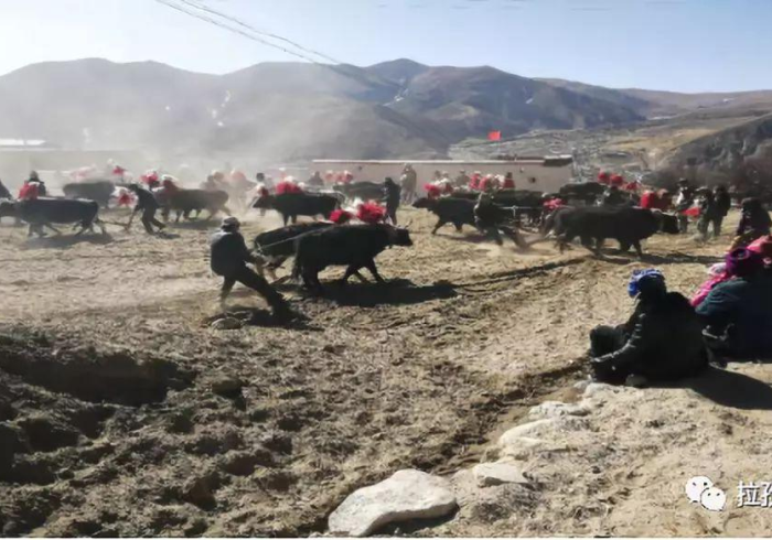 今 日 分 享 “ 掌 电 竞 技 开 挂 真 的 假 的 [ 玩 家 必 赢 神 器 ]