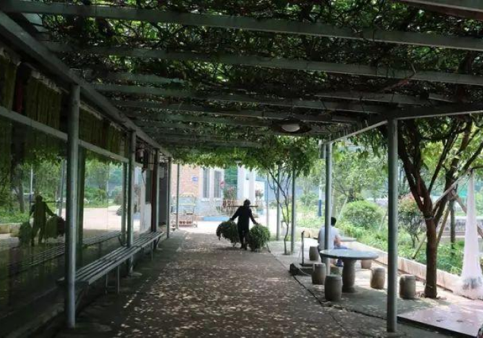 玩家测评“微信怎么建房玩斗牛牛啊”房卡怎么购买