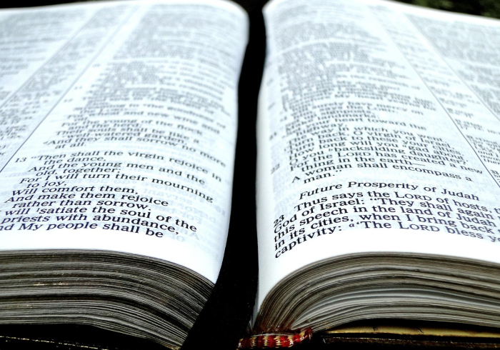 秒懂教程“在哪里买微信牛牛房卡”房卡怎么购买 秒懂教程“在哪里买微信牛牛房卡”房卡怎么购买