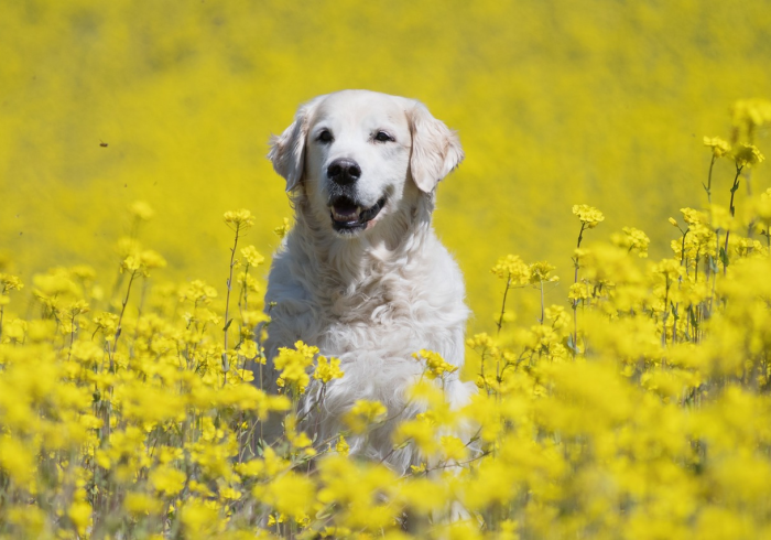 玩家必知“创建微信斗牛链接房卡怎么弄”详细房卡怎么购买教程 玩家必知“创建微信斗牛链接房卡怎么弄”详细房卡怎么购买教程