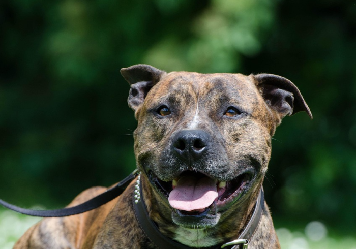 房卡必备教程“微信炸 金花链接在哪买”房卡怎么购买 房卡必备教程“微信炸 金花链接在哪买”房卡怎么购买