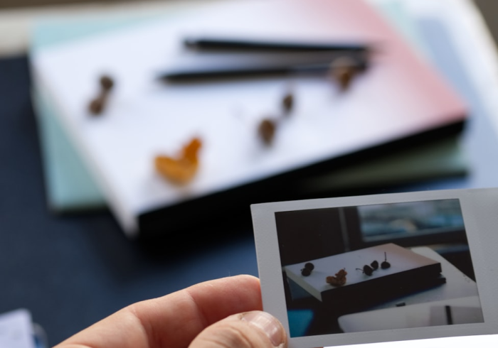 一分钟了解“新道游大厅怎么获取房卡”房卡获取方式