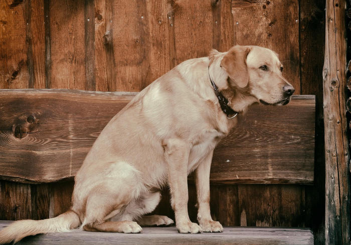一分钟介绍使用“正规斗牛房卡怎么买”房卡链接获取 一分钟介绍使用“正规斗牛房卡怎么买”房卡链接获取